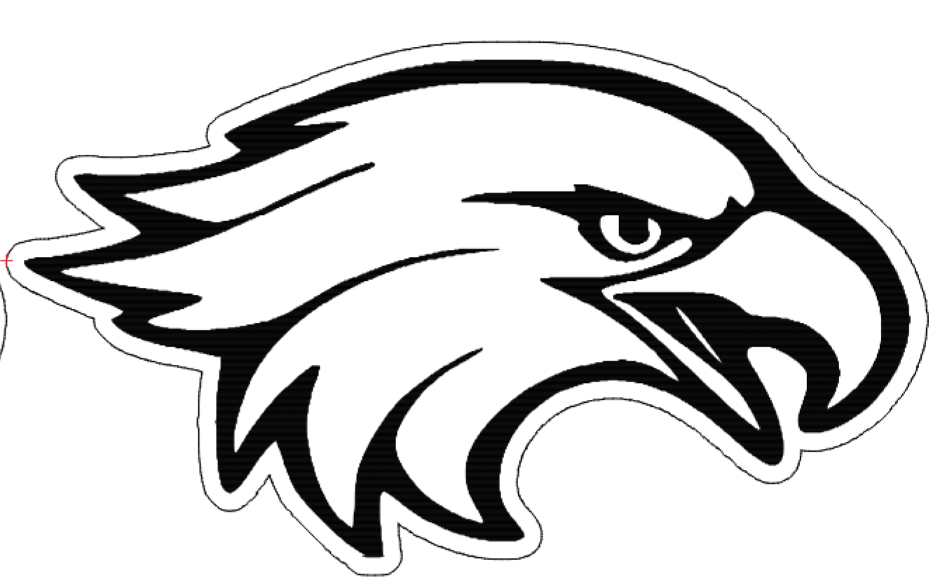 Falcons Hat